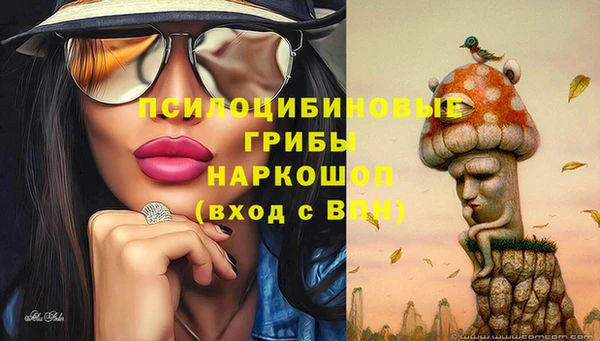 героин Алексин